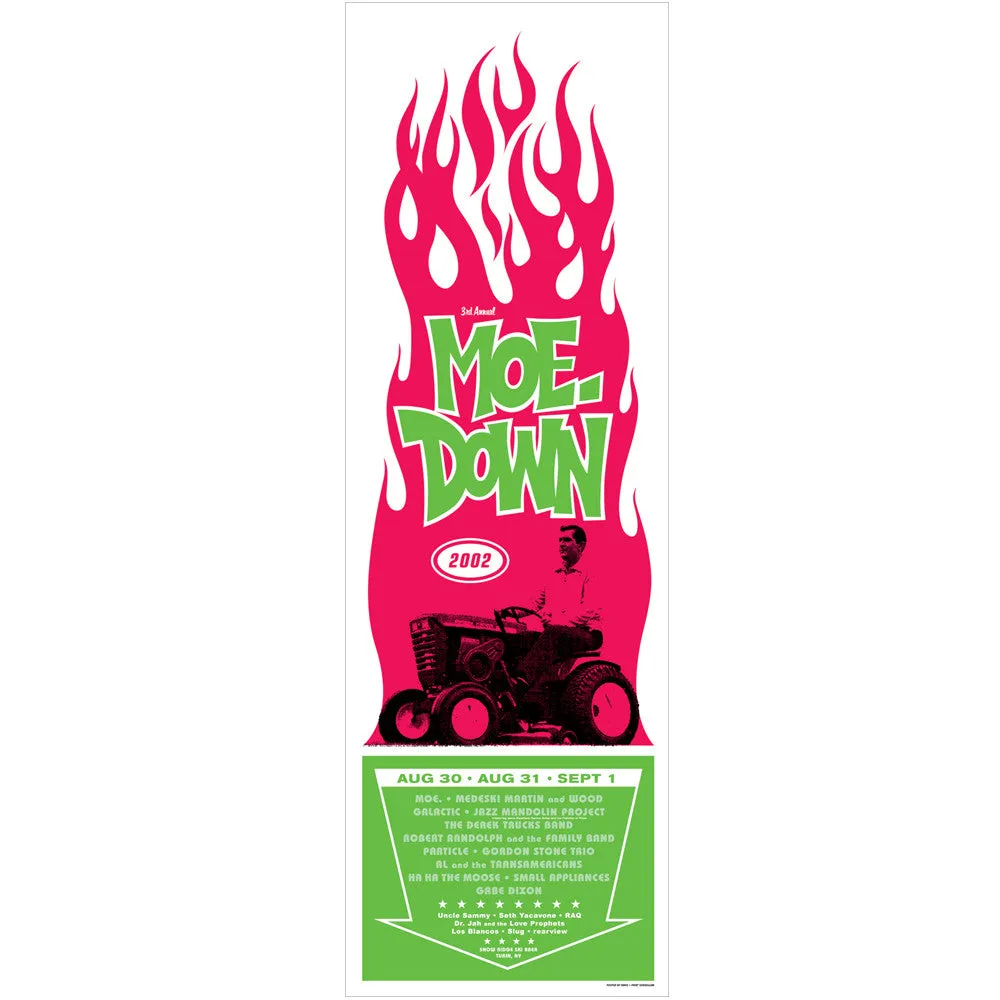 Moe.Down Festival 2003 Turin, NY Poster